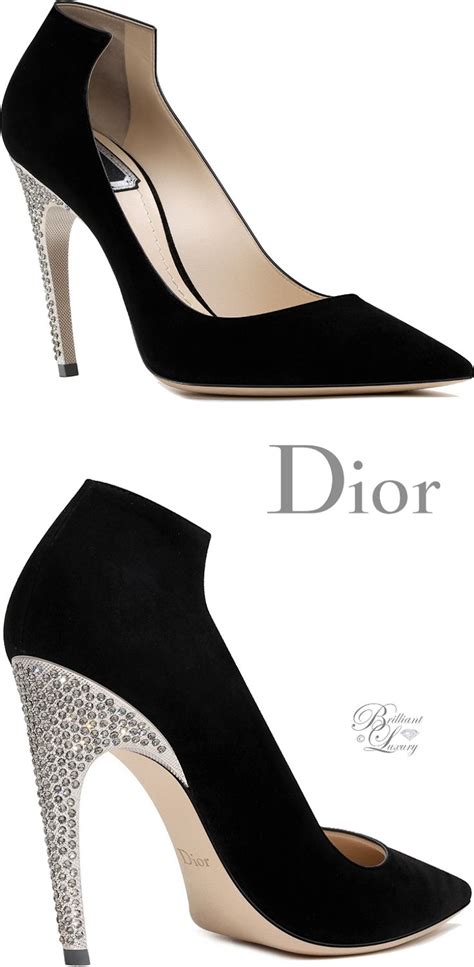 celine dior shoes|dior designer shoes color.